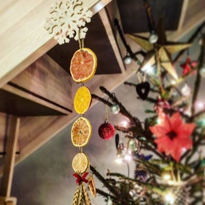 Citrus decoration; handmade decoration