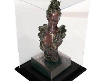 Acryl vitrine met houten voet