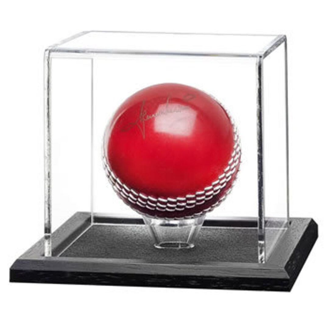 Ball Window - Etsy
