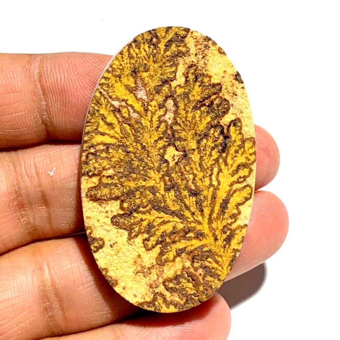 psilomelane dendrite psilomelane dendrite