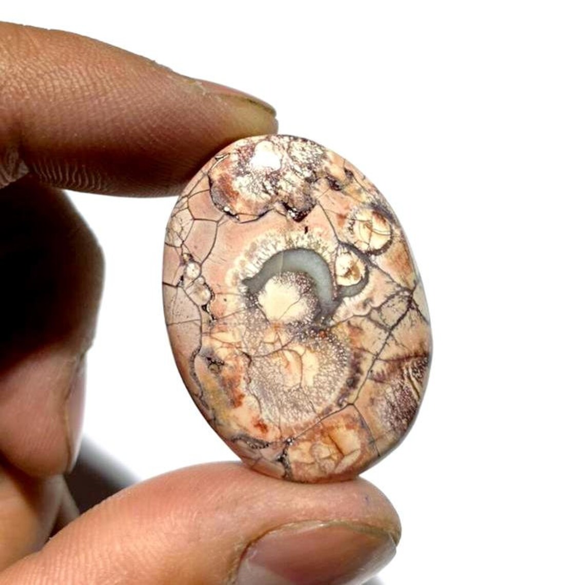 Bird Eye Jasper Natural Bird Eye Cabochon Loose Gemstone Etsy