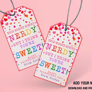 May include: Two white Valentine's Day gift tags with a pink border and a gray string. The tags have colorful text that reads "This might sound nerdy but I think you're sweet!" and are decorated with hearts.