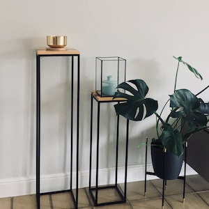 May include: Two black metal plant stands with wooden shelves, one with a gold bowl and the other with a glass cloche. A potted monstera plant sits on a gold metal stand with black legs.