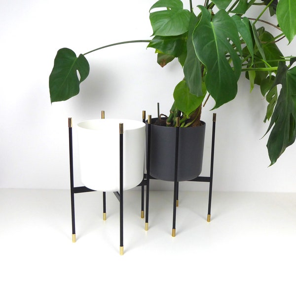 Moderne Pflanzenständer aus schwarzem Edelstahl und poliertem Messing für alle Pflanzenfreunde