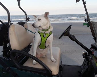 K9 CoPilot® - Golf Cart Tether