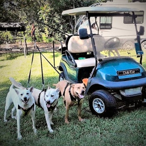 K9Caddy® Safety Dog Leash engineered for Golf Carts