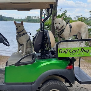 Golf Cart Tether for Dogs - K9 CoPilot®  TAKE TWO - Dual Tether System