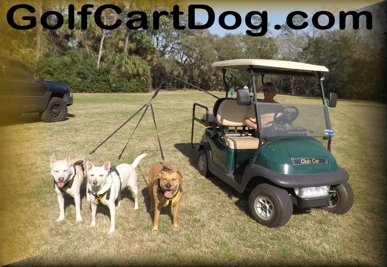 Golf Cart Dog K9caddy® by M3b LLC Etsy