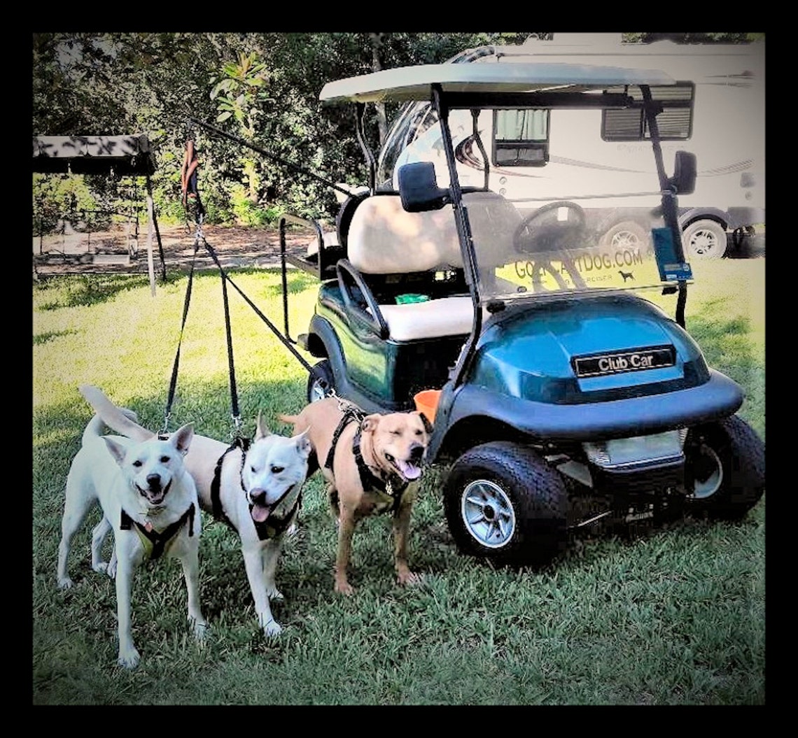 Golf Cart Dog K9caddy® by M3b LLC Etsy