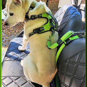 May include: A light-coloured dog wearing a bright lime green and black dog harness with reflective stitching and a sturdy handle on the back. The harness is secured with black plastic buckles and includes a matching lime green leash attachment.