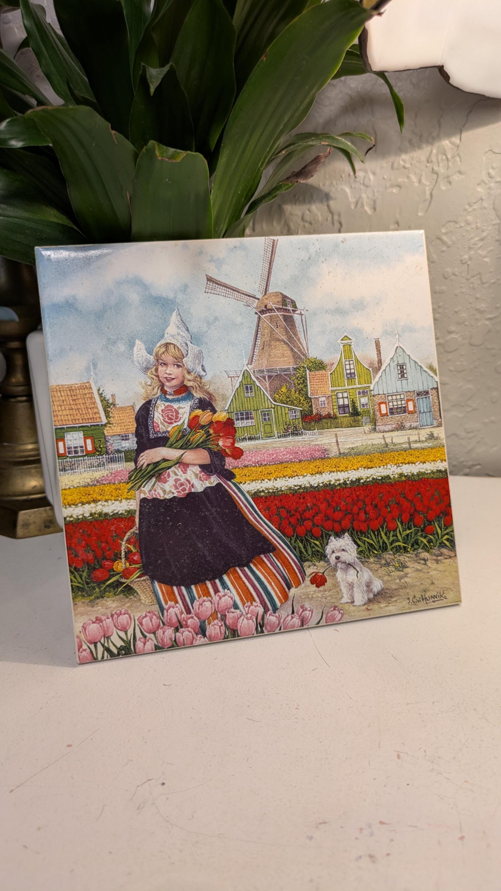 Ter Steege Holland - Etsy