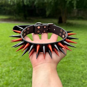 May include: Black leather collar featuring alternating red and black spikes. The collar has a buckle fastening and metal hardware. The spikes are evenly spaced around the collar. The background is a blurred green lawn and trees.