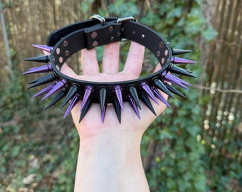 May include: Black leather collar with alternating black and purple spikes. The collar has a buckle closure and is held up against a background of green foliage. The spikes are evenly spaced around the collar.
