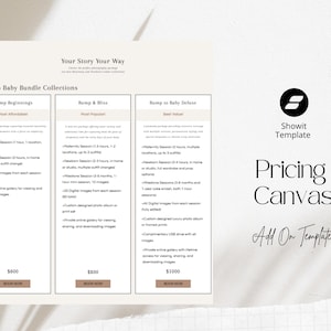 Showit Pricing Template: Customizable Investment Canvas for Website Designer Packages