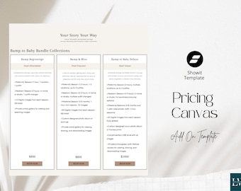 Showit Pricing Template: Customizable Investment Canvas for Website Designer Packages