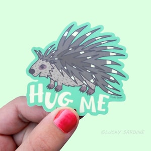 Porcupine Vinyl Sticker, Funny Sticker, Weatherproof, Hug Me Sticker, Lookin Sharp, hérisson, Sticker pour ordinateur portable