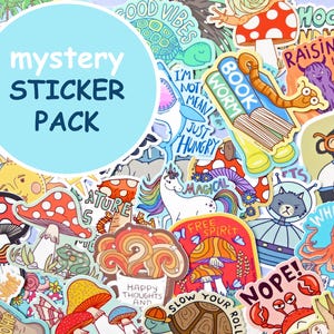 Mystery Sticker Pack, Vinyl Stickers, Mystery Box, Weatherproof stickers, Funny Stickers, Sticker Lot image 1
