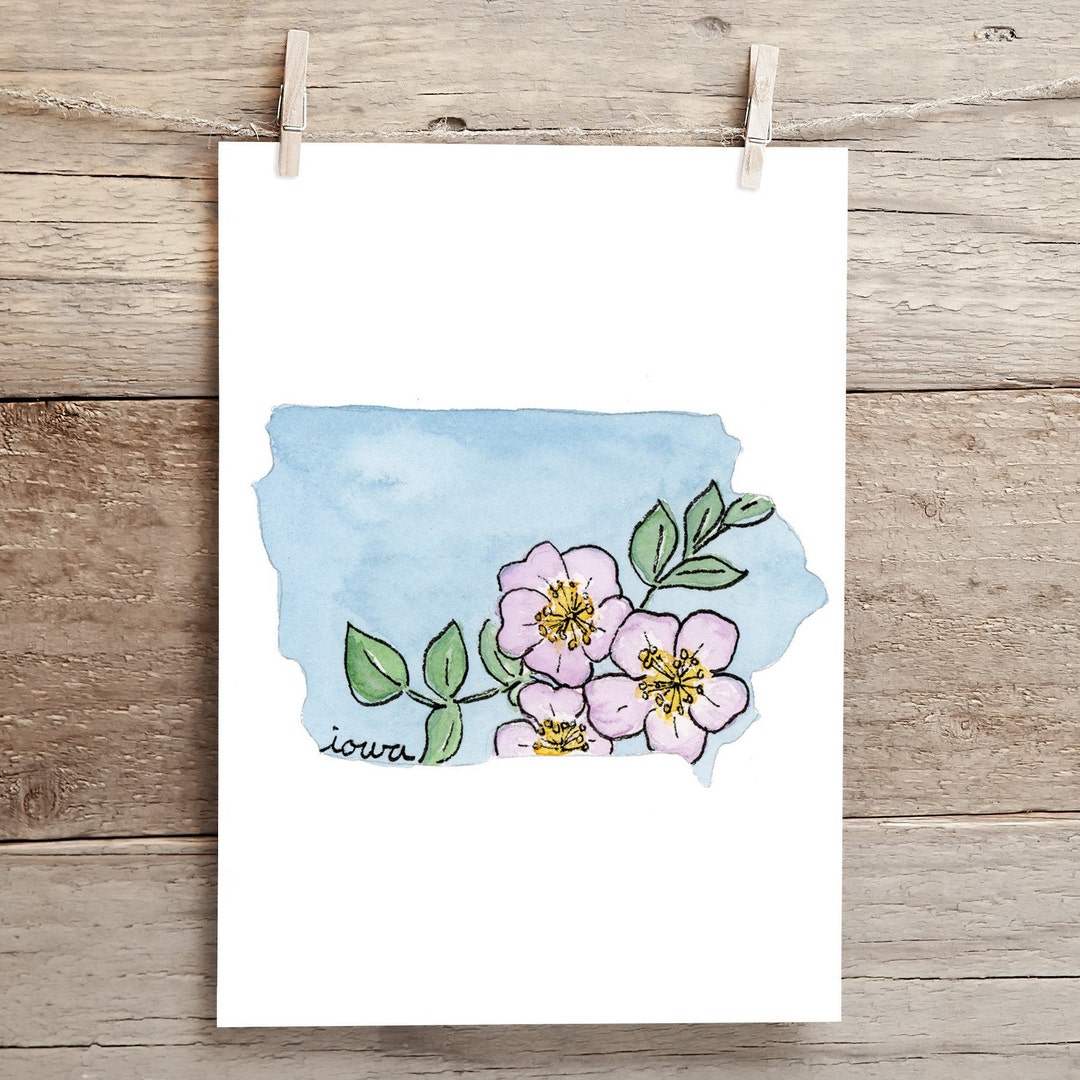 Iowa Wild Rose State Flower Silhouette Watercolor Print - Etsy