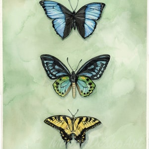 Butterfly Trio Watercolor print; Butterfly watercolor; Blue and green butterfly Watercolor
