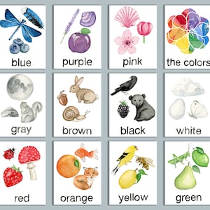 Download digital de cartões coloridos com tema da natureza em 3 partes, cartões coloridos da natureza Montessori em três partes, recurso de aprendizagem de cores,