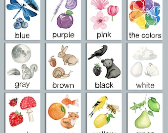 Digital Download 3 part Nature Themed Color Cards, Three Part Montessori Nature Color Cards, Color Learning Resource,