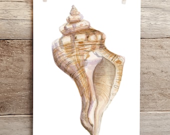 Seashell watercolor in yellow and peach, Ocean life watercolor