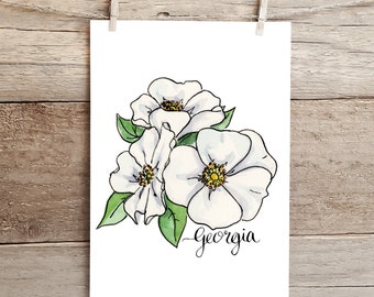 Georgia State Flower Cherokee Rose Watercolor Print