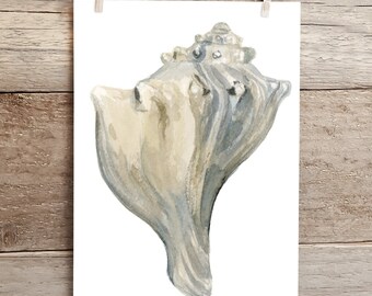 Seashell watercolor in grey, Ocean life watercolor