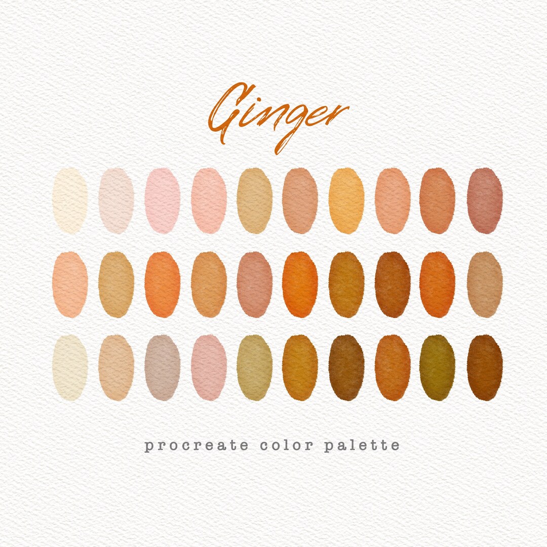 Ginger Color Palette Procreate Color Palette Colour Palette Etsy