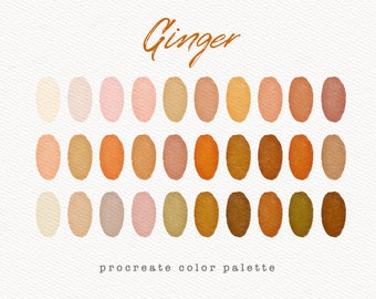 Ginger Color Palette, Procreate Color Palette, Colour Palette, Colors Procreate, Digital Download, Procreate Swatches, Soft Orange Palette