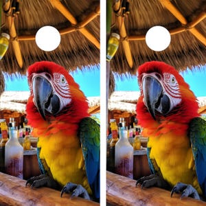 Puede incluir: Un loro guacamayo rojo, amarillo y azul posado en una barra de madera con un techo de paja en el fondo.
