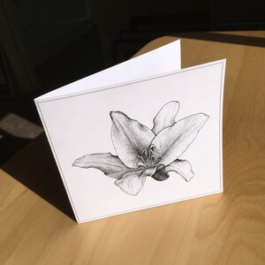 Conjunto de cinco cartas: flores e folhas