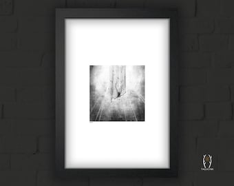 Icarus Art Print: Greek Mythology Illustration Classical Myth Wall Art