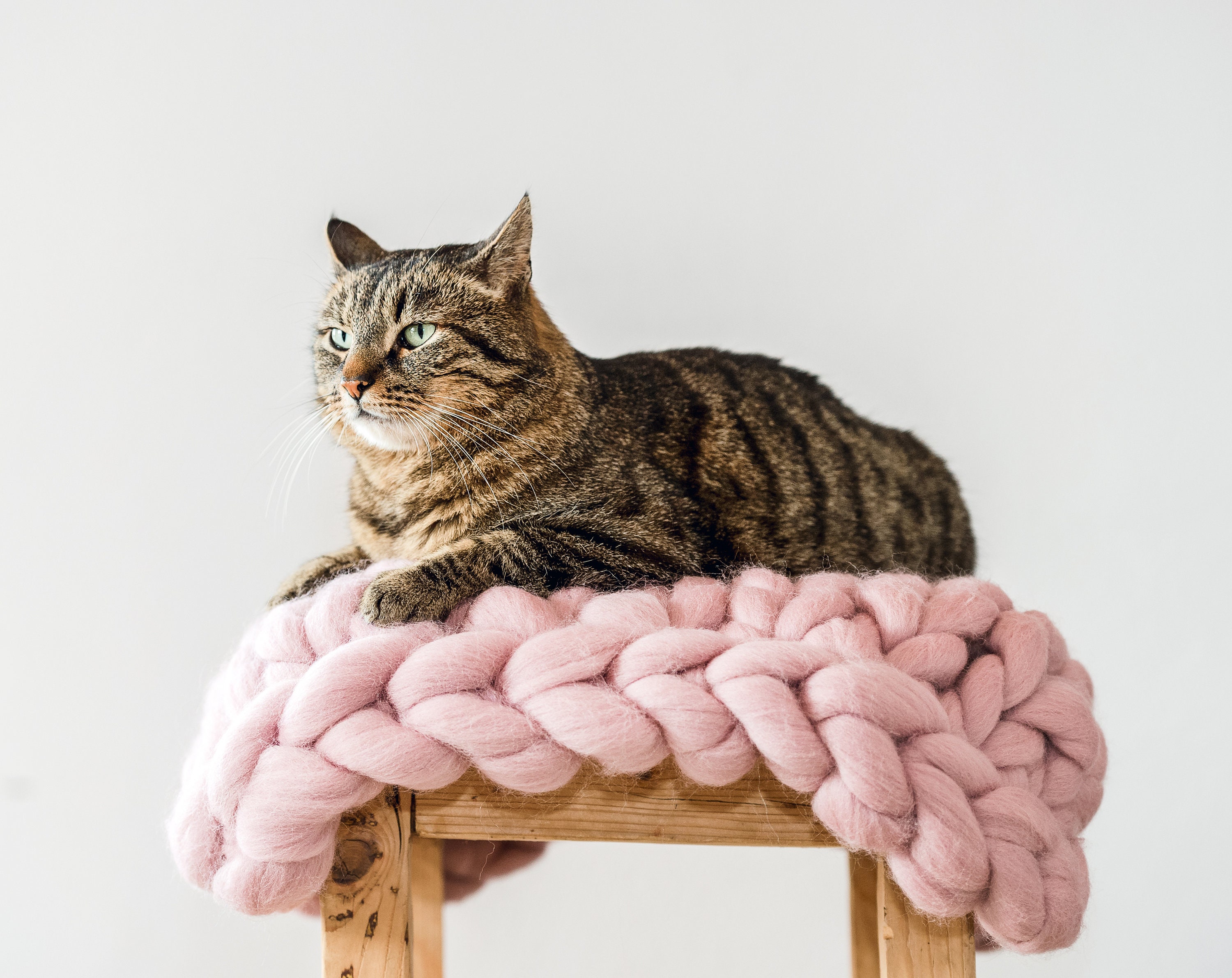 Tapis de Chat Chunky, Lit Rose Rose, Tricoté, Literie Ped Mignon, Laine, Coussin Oreiller Cadeau d'a