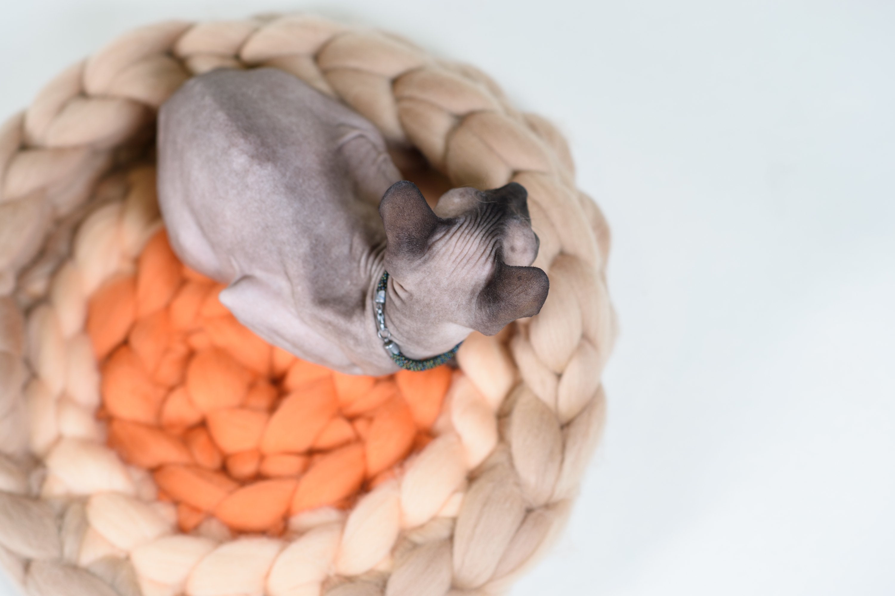 Lit Chunky de Chat Laine avec L'orange Beige Soutien Arrière, Lit Tricoté d'animal Familier, Literie