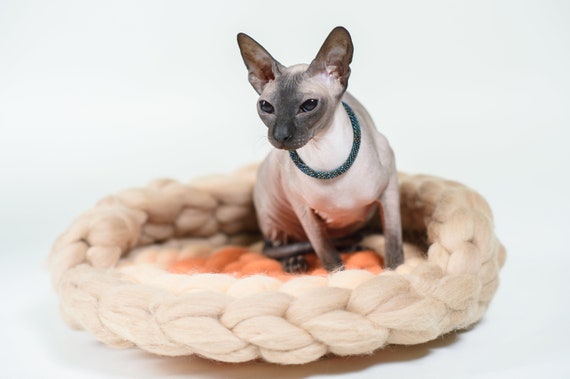 Lit Chunky De Chat De Laine Avec Lorange Beige De Soutien Etsy
