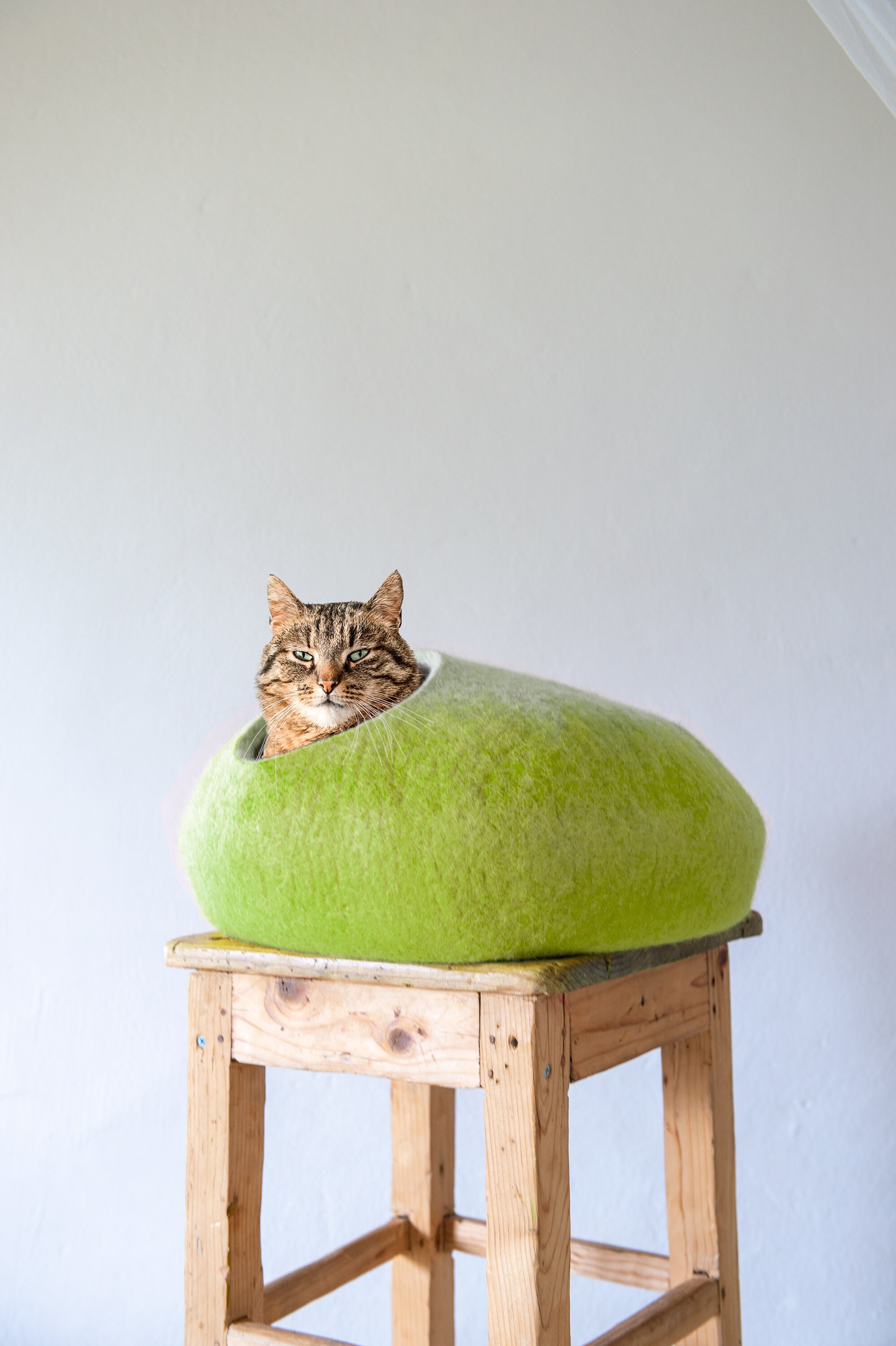 quality cat furniture