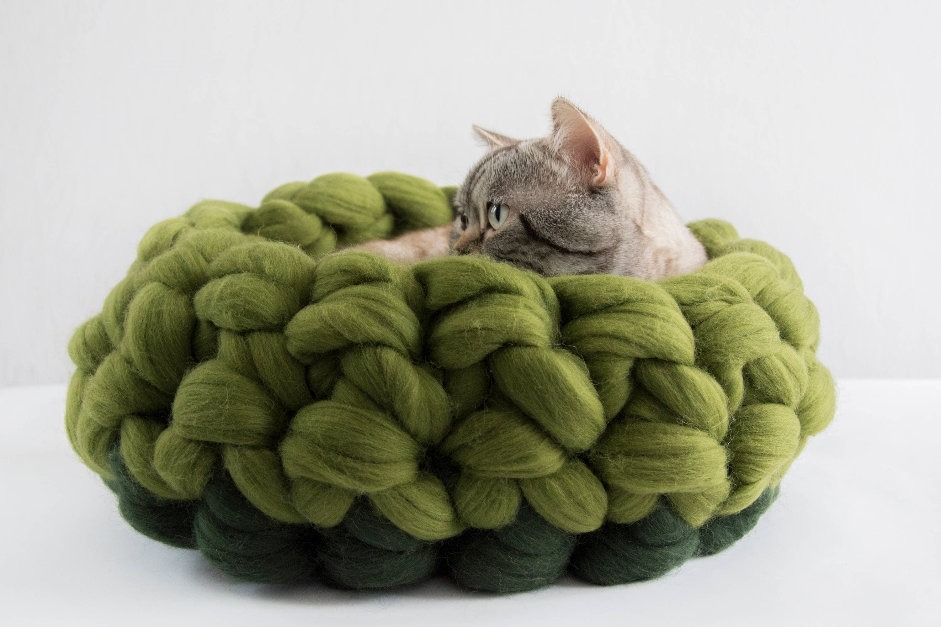 Green Round Cat Basket, Chunky Mat, Knits Merino Cot, Meubles Pour Animaux de Compagnie, en Laine Tr