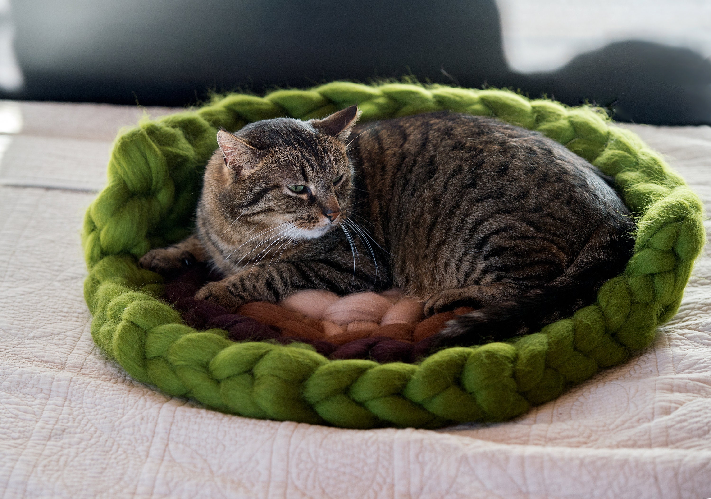 Chunky Wool Knitted Cat Bed With Back Support Green Cat Mat Etsy