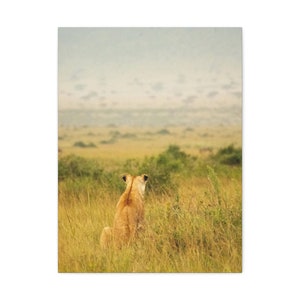 The Patience of a Lion in the Mara Triangle, Kenya - (printed photo poster, safari photography, wildlife)
