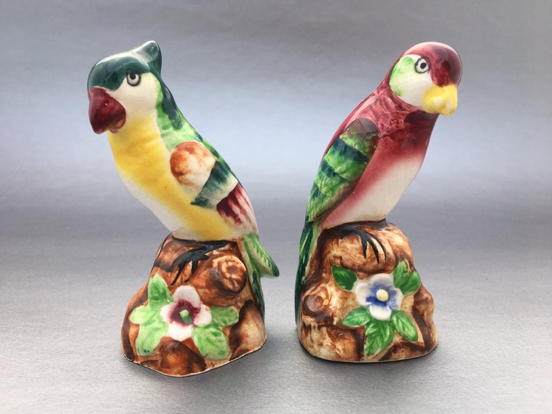 Colorful Parrot Salt and Pepper ShakersMid Etsy