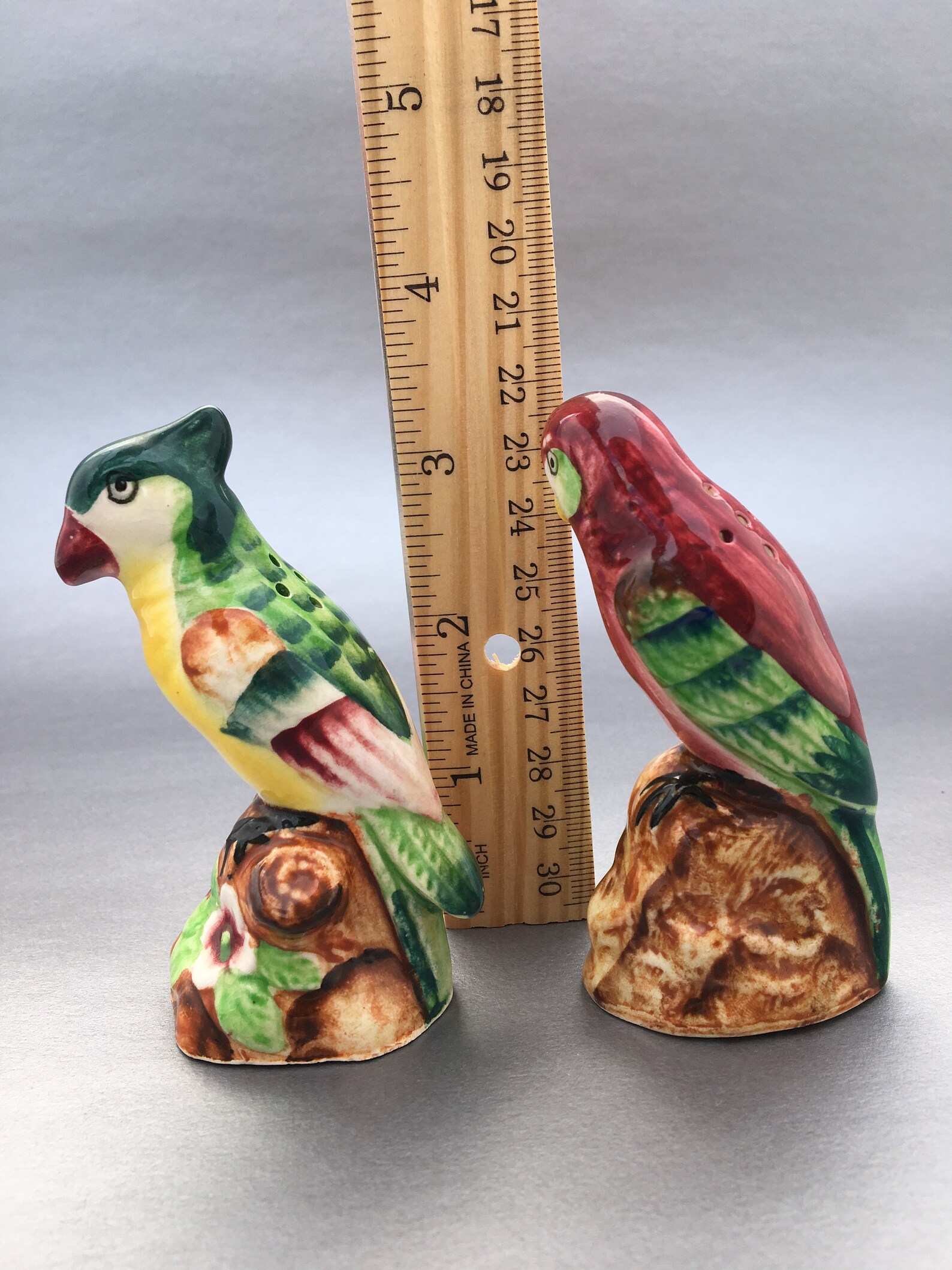 Colorful Parrot Salt and Pepper Shakersmid Etsy