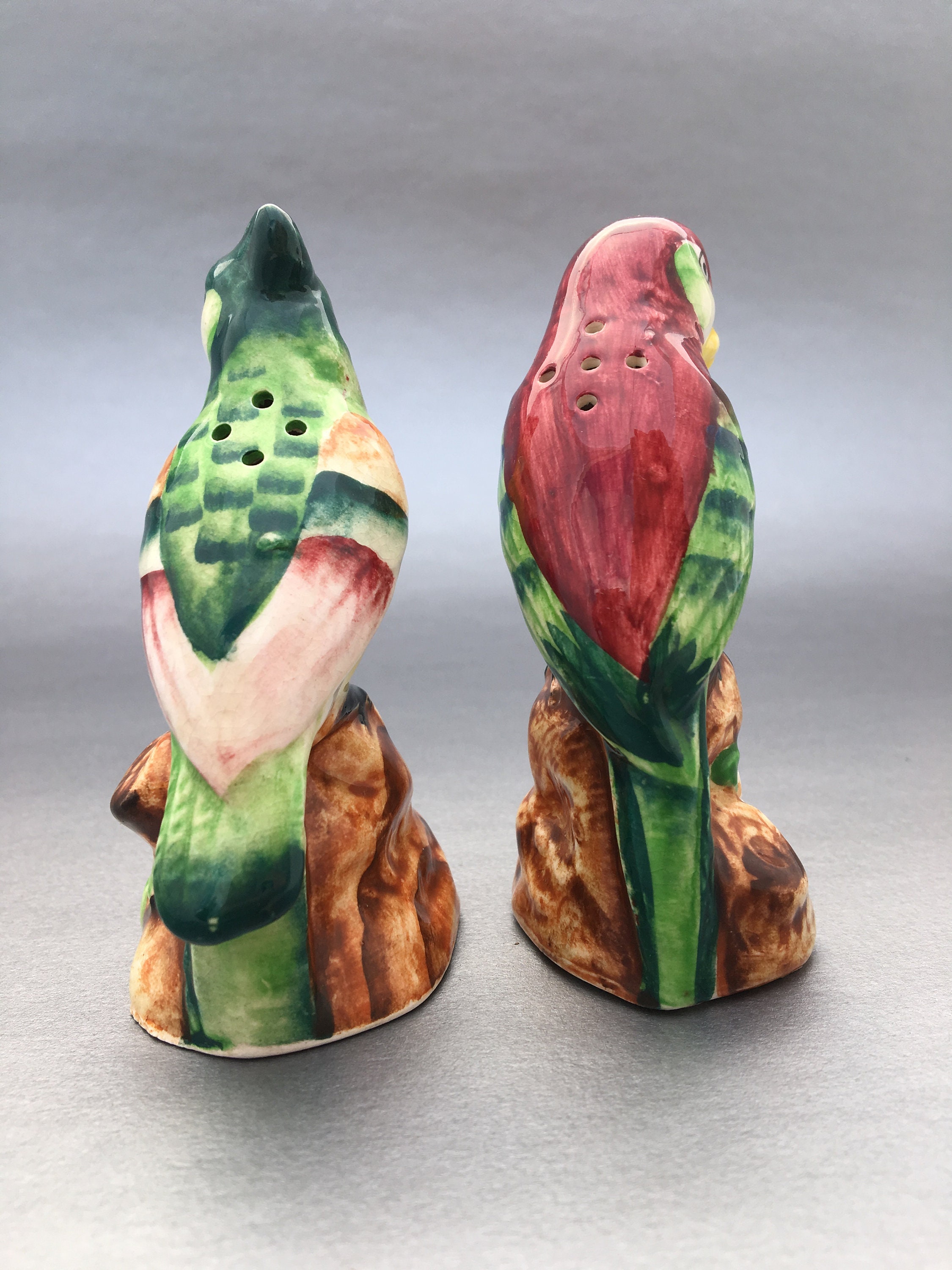 Colorful Parrot Salt and Pepper Shakersmid Etsy