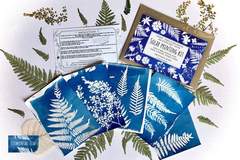 May include: A solar printing kit with instructions and five cyanotype prints featuring white fern and flower silhouettes on a blue background. The kit is surrounded by dried ferns and flowers.