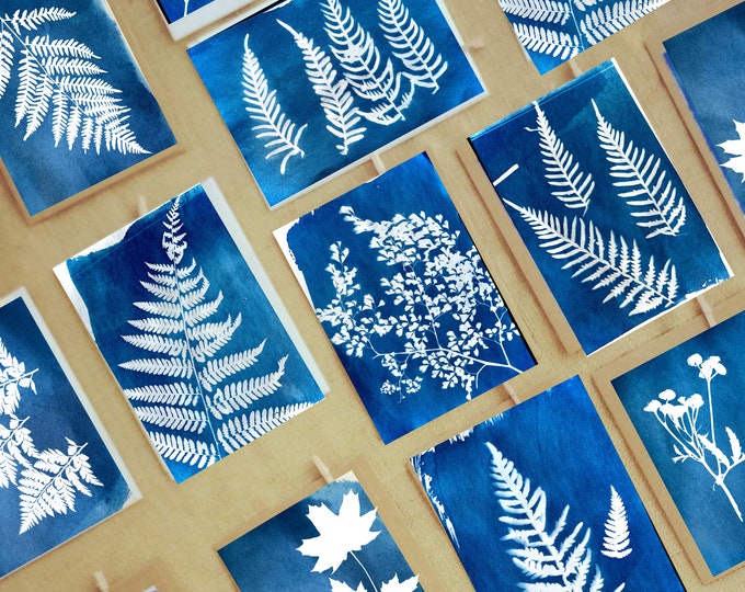 Eco Friendly Sun Printing Kit, DIY Cyanotype Art Prints