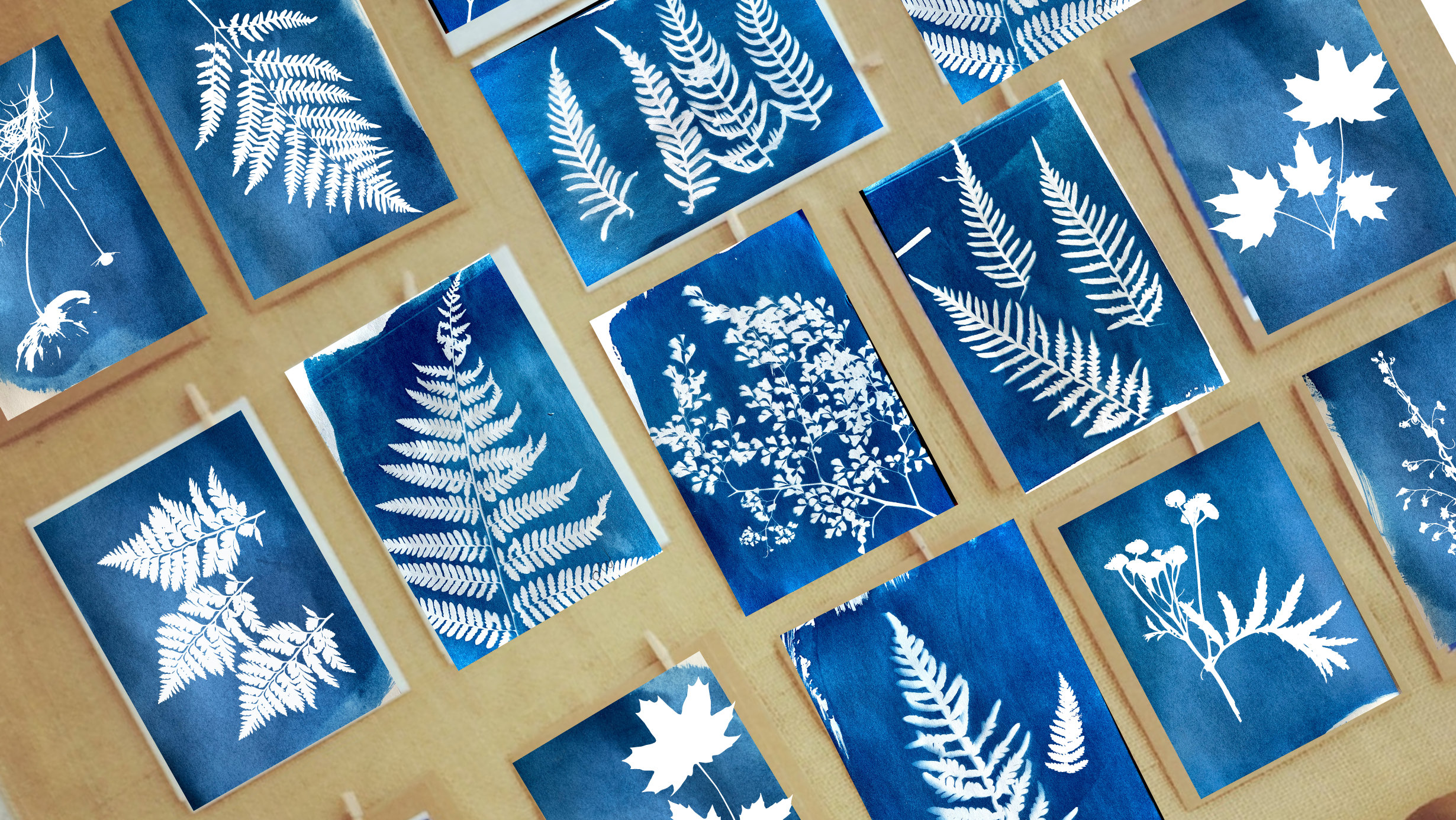 DIY Sun Print (Cyanotype) Kit - Postcards – Manine Montessori