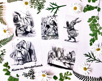 Cyanotype Stencils: Mix and Match DIY Craft Kit