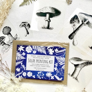 Fungi, cyanotype kit , fall, Festive fall find  , fungi stencils , Solar printing kit, craft kits