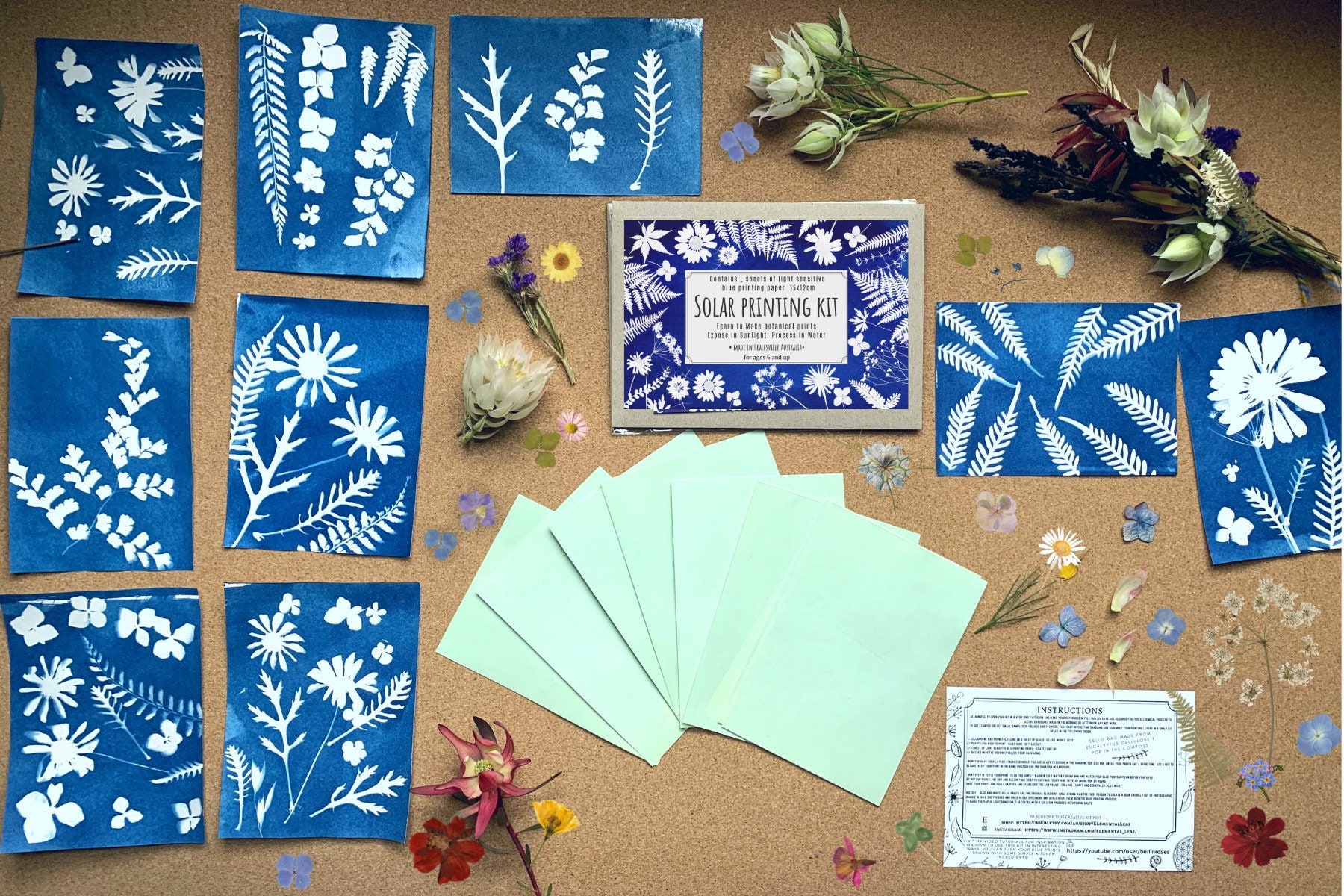 Solar Printing Kit , Sun Print, Nature Craft , Diy Art and Craft Kit ,  Gifts for Everyone, Elemental Leaf 