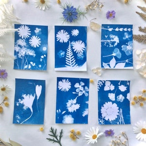 Party favors , mini art kit , party favors for kids, Party pack , Mini cyanotype kit, Elemental leaf image 6